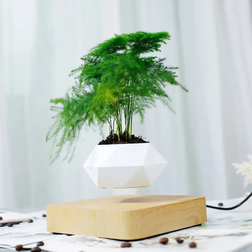 Magnetic Levitation Bonsai Pot – Floating Rotation Plant Holder